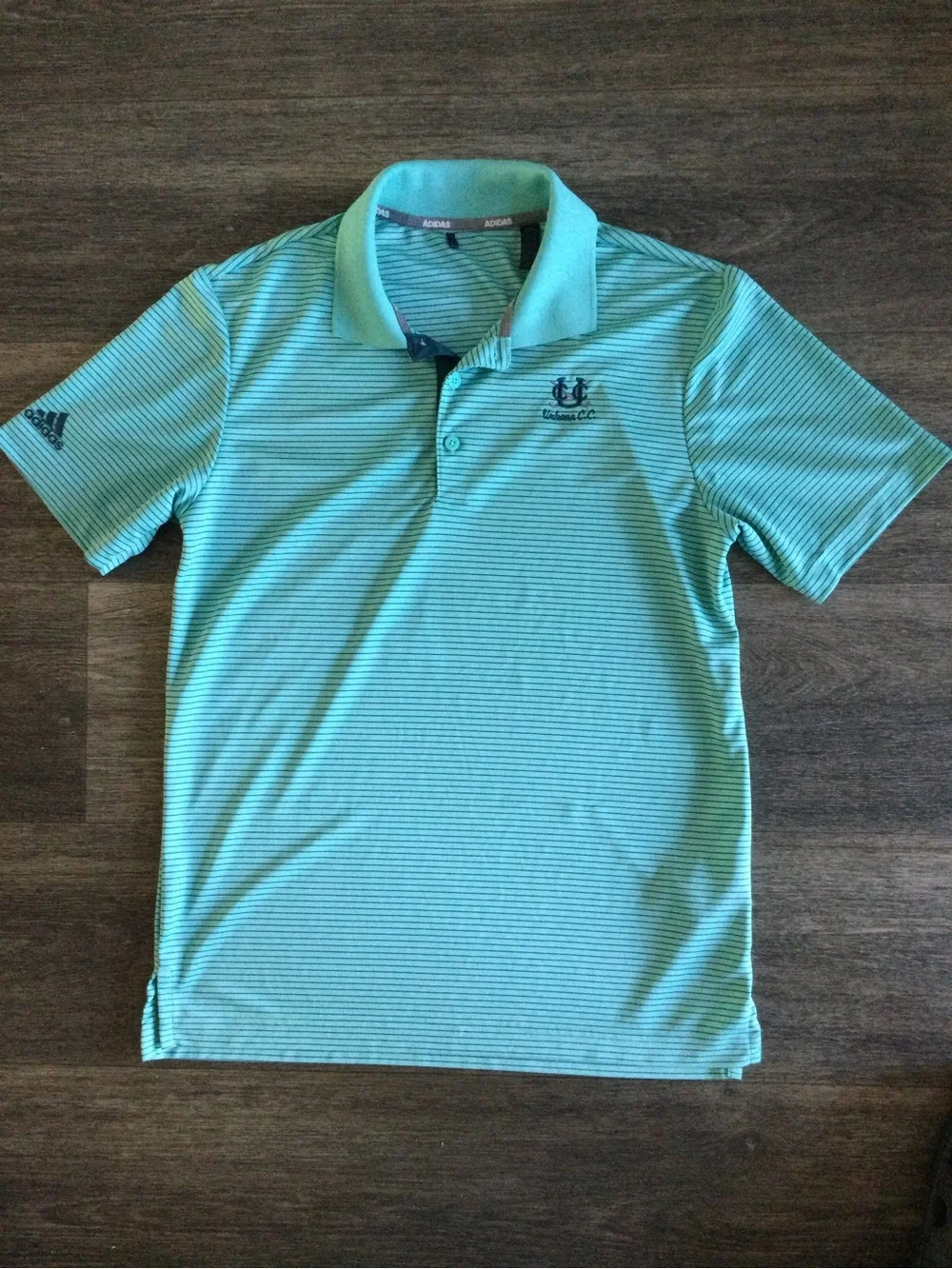 adidas Men's Teal Striped Performance Polo
